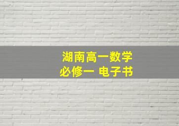 湖南高一数学必修一 电子书